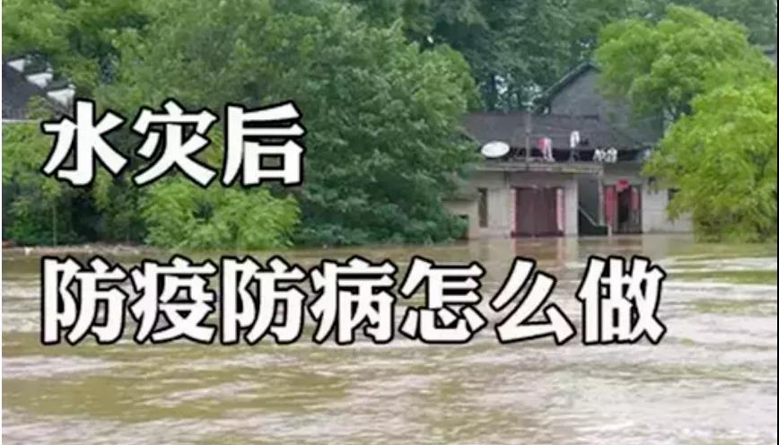 &#21326;&#20307;&#24179;&#21488;&#45;&#21326;&#20307;&#40;&#20013;&#22269;&#41;
